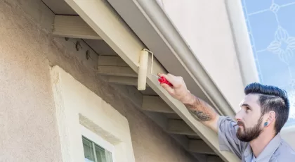 Professional Painter Using Small Roller to Paint