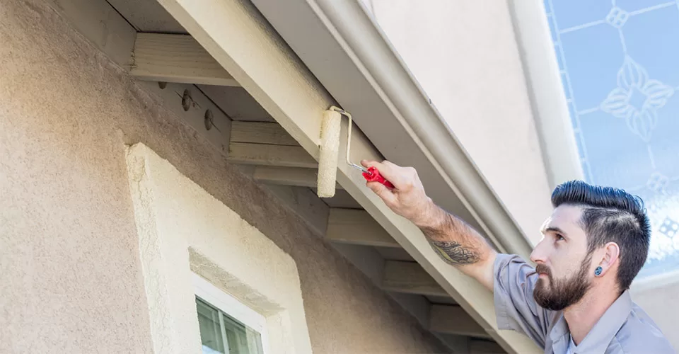 Professional Painter Using Small Roller to Paint