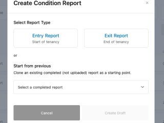 Auto-Generate & Customize