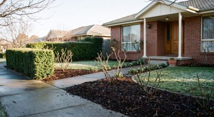 Freshly pruned and mulched front garden in winter