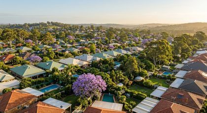 Aerial view of Australian suburban homes and jacaranda trees at golden hour, illustrating the Australian property market update